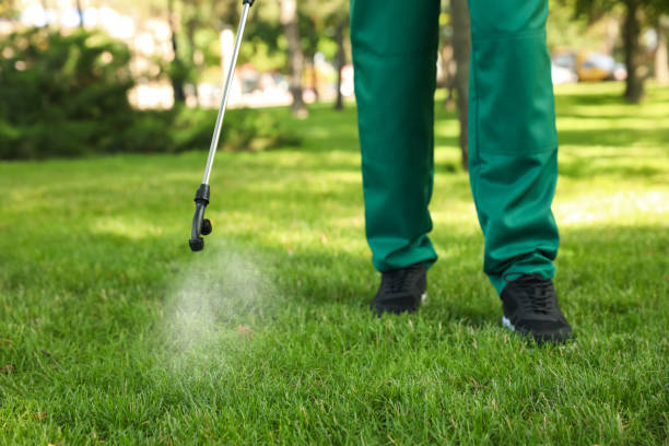 Best Exterminator Services  in Graniteville, SC