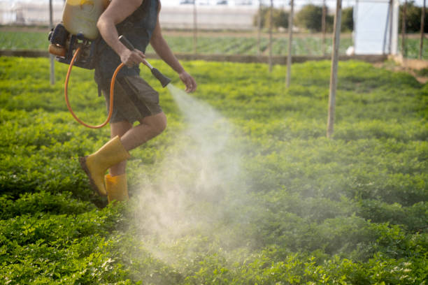 Best Affordable Pest Control Services  in Graniteville, SC