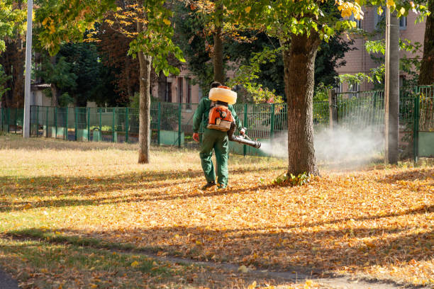 Best Local Pest Control Services  in Graniteville, SC