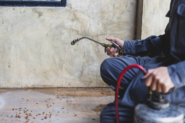 Best Affordable Pest Control Services  in Graniteville, SC